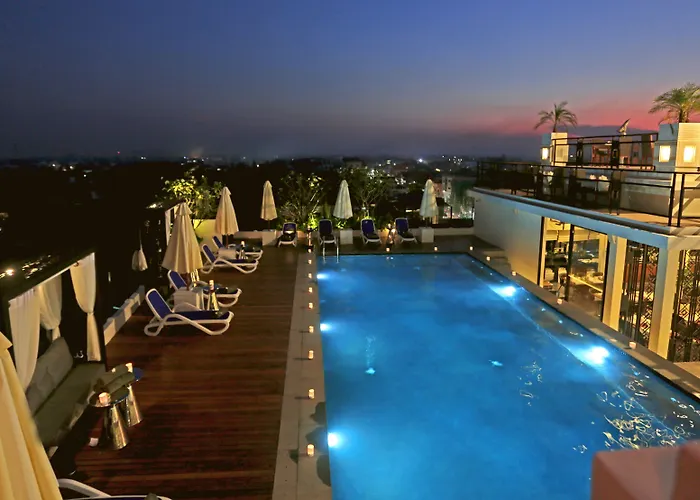 Hari & Hotel